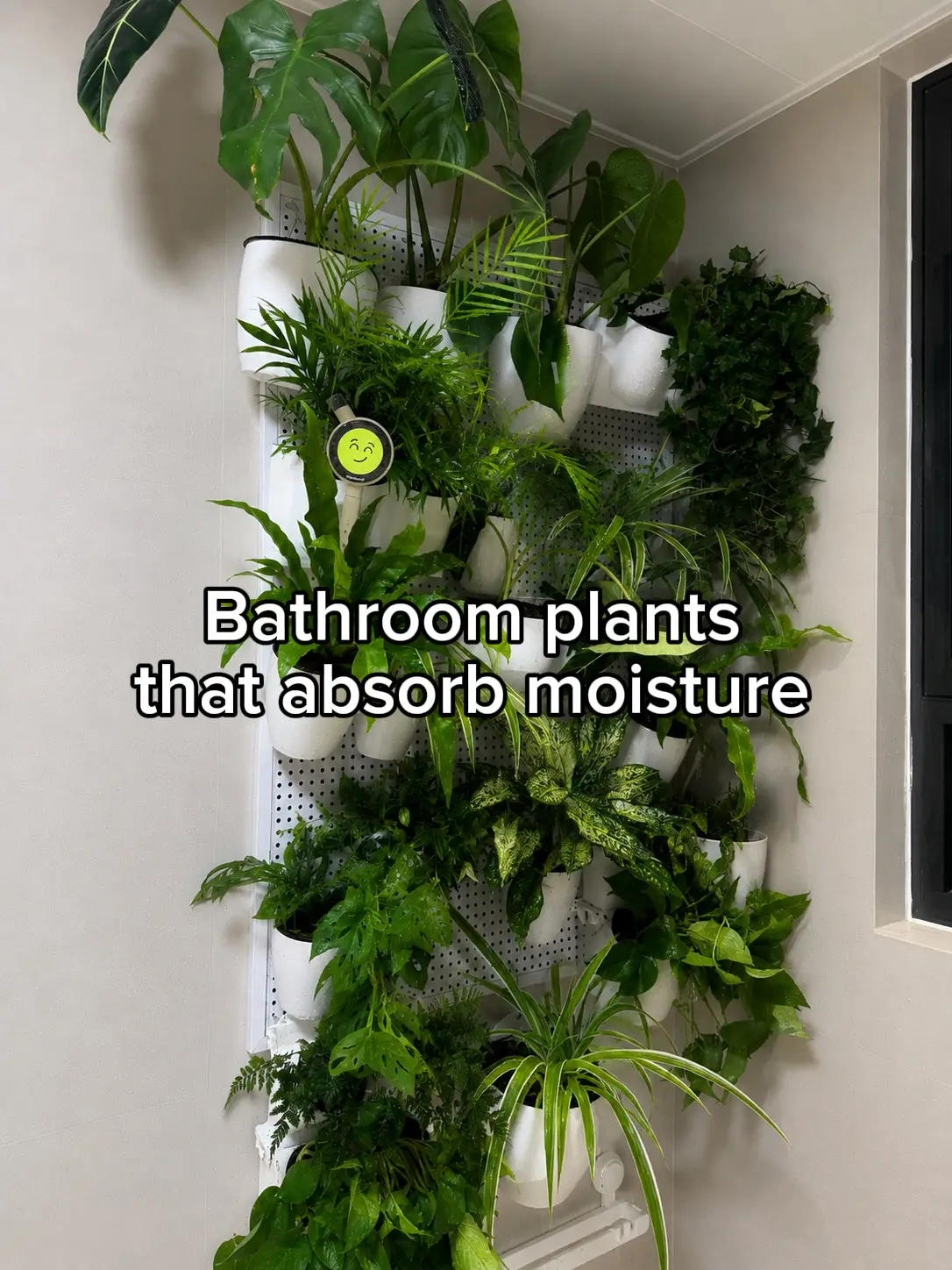 Save this list before buying your next houseplant. #houseplants  #plantcare  #pl