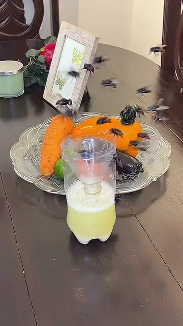 The Simple Homemade Fly Trap That Actually Works #FlyTrap #HomeHacks #DIYCleanin