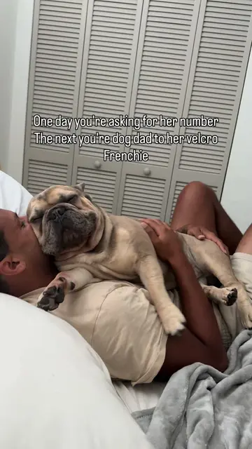 This is the kind of energy we like💚#frenchiesoftiktok #dogdad #petparent #velcr