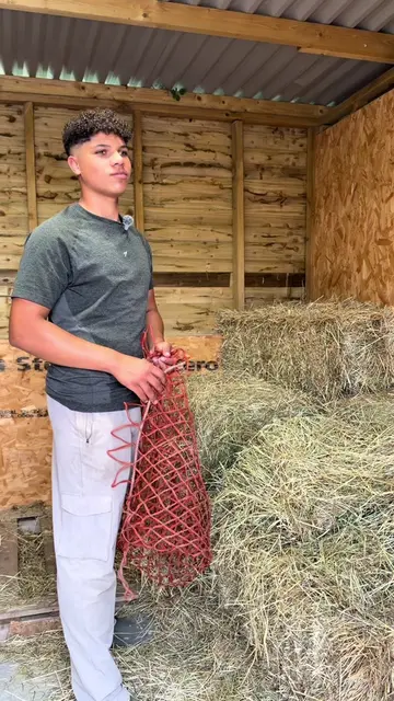WHO CAN GEUSS THE ANIMAL ??  Is it an animal we already have or a new one… #hors