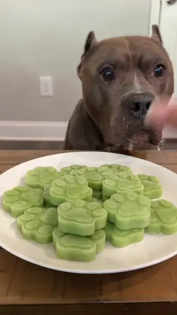 Healthy doggy breath mint treats 💚
