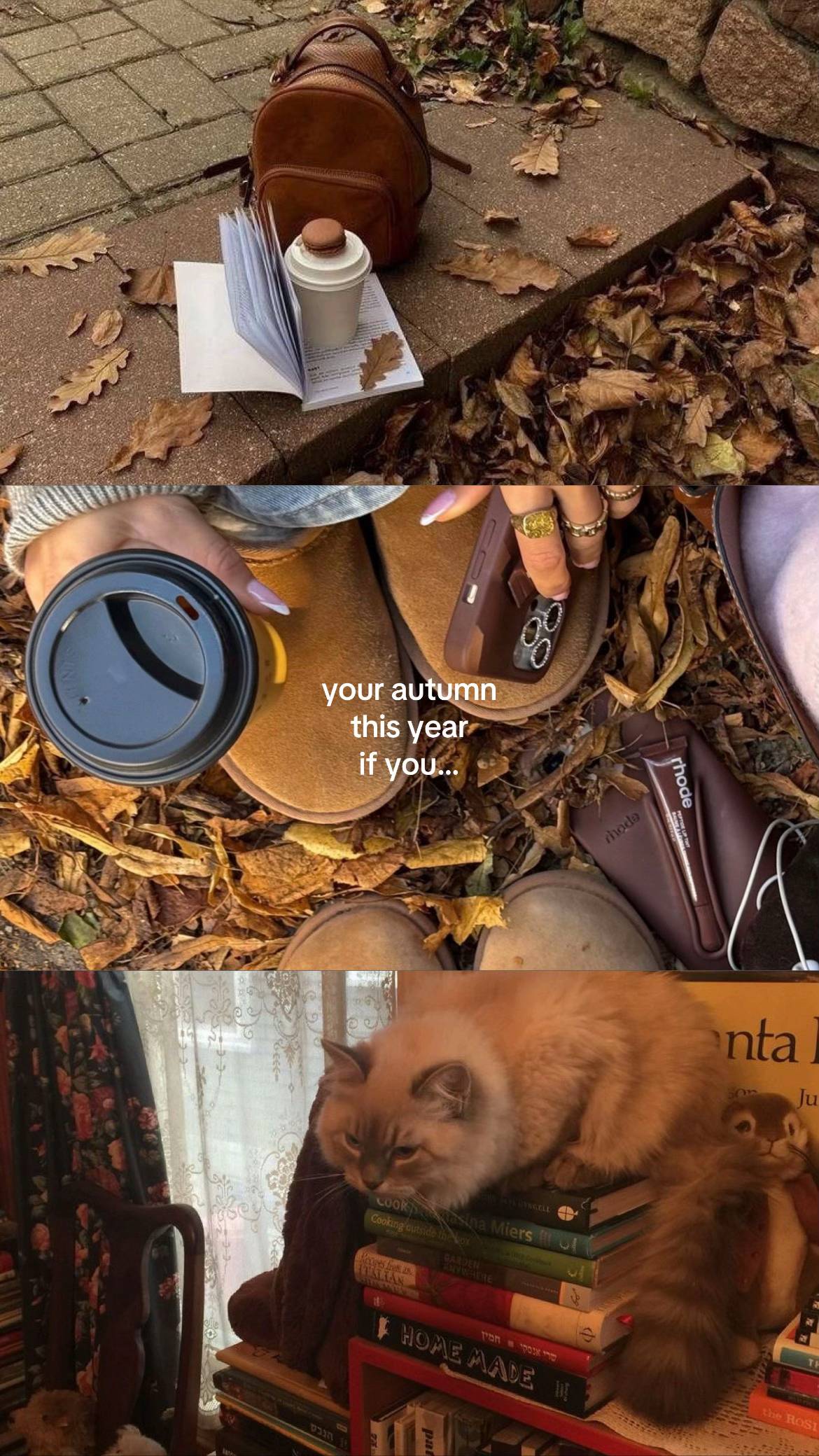 comment to stay on falltok guysss ⭐️🍂 #autumn #fall #twilight #gilmoregirls #vi
