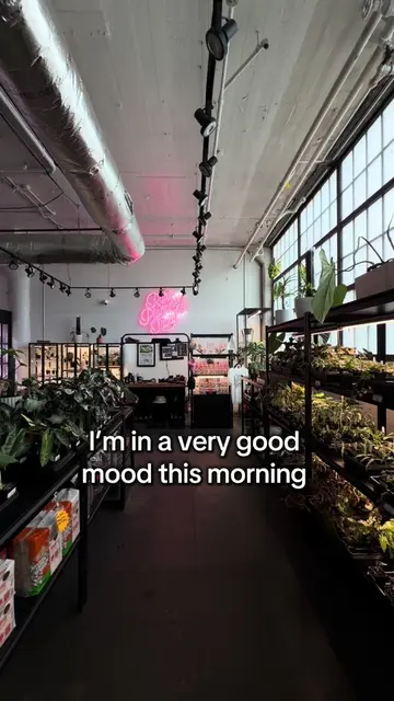 No better way to start the day than with a little plant purchase! 🌱🤭 #plants #