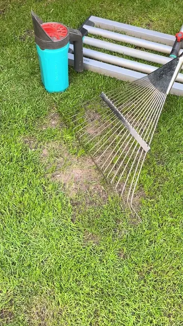 Quick Tip To Fix Bare Lawn Patch 🌱 Please do watch and listen along 👍  I’ve go