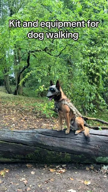 Every dog owner has that one piece of kit they won’t leave the house without… Wh