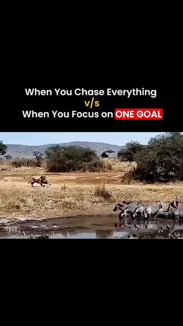 when you chase everthing vs when you focus on one goal #creatorsearchinsights #m