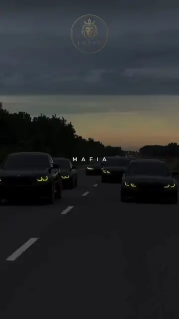 Mafia #mafia #oldmoneystyle #oldmoney #money 