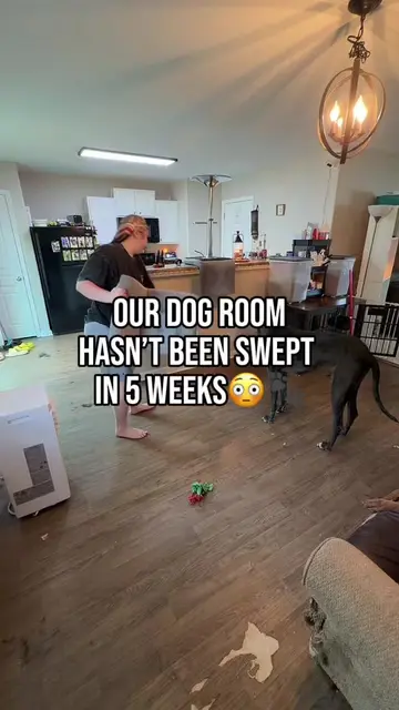 4 dogs means there’s always something to clean😭🐾 #CleanTok #dogsoftiktok #dogm