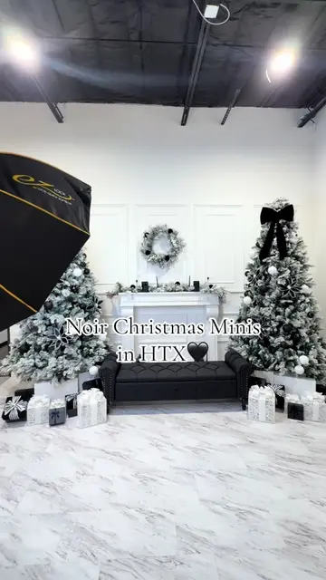 Noir Christmas Minis in Houston TX 🖤 Dates coming SOON #fyp #houston #christmas