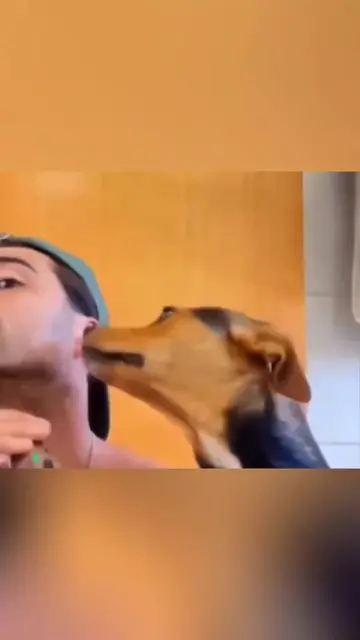 Funny animals 🤣🤣  #pet #cat #dog #cute #animals #foryou #typ