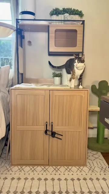 Since I have lots of animals in my house, I love getting everything clean before