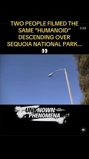 Two witnesses. Different locations. The same strange object. Footage from Sequoi