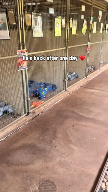 Imagine you think you are finally home. Your first home. And then you come back 