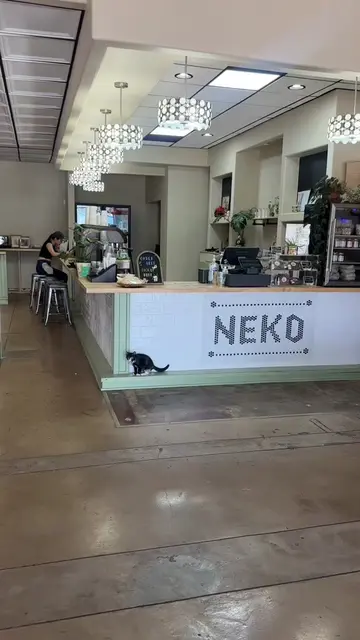 One of my favorite work coffee shops ☕️ 🍵  A place I can edit videos ✍️  @nekoc