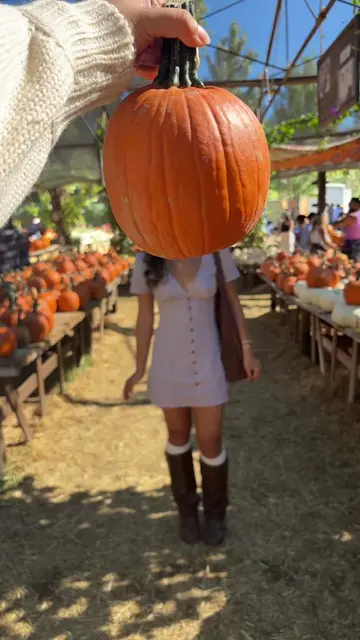 I cant wait for fall 🧸🪵🍂☕️ (this was from my draft) 