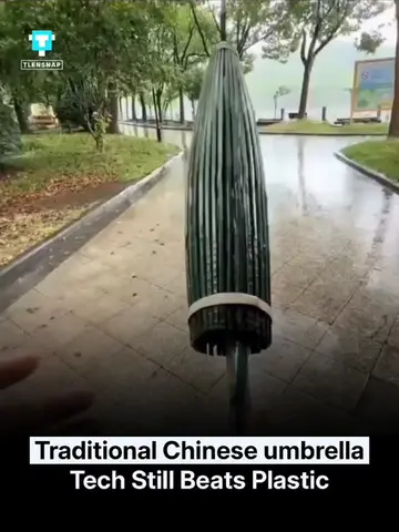 Traditional Chinese oil-paper umbrellas are a remarkable example of centuries-ol