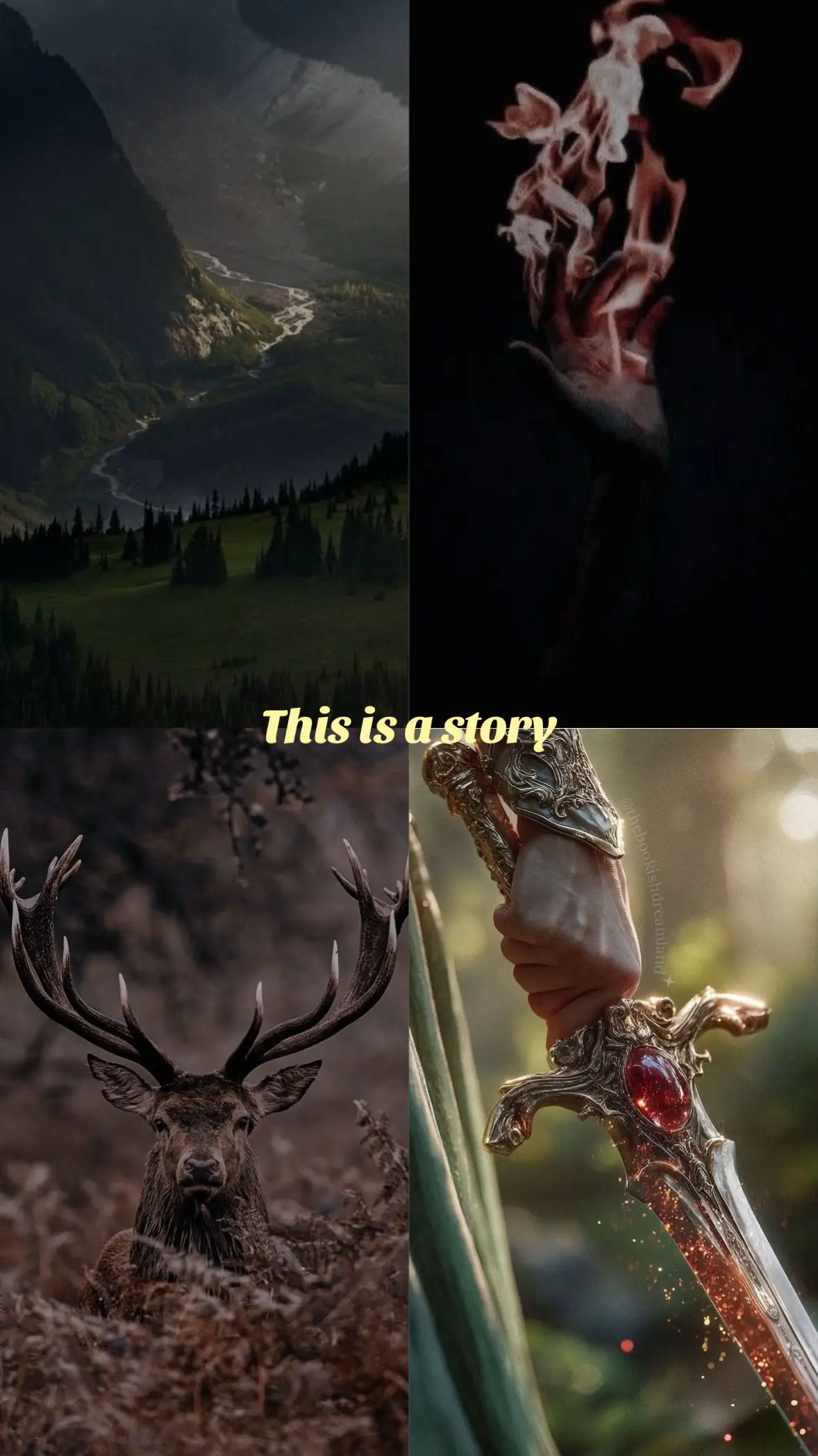 This is a story…🌲🔥 👑 🗡️  #celaenasardothian #throneofglass #BookTok #sarahjm