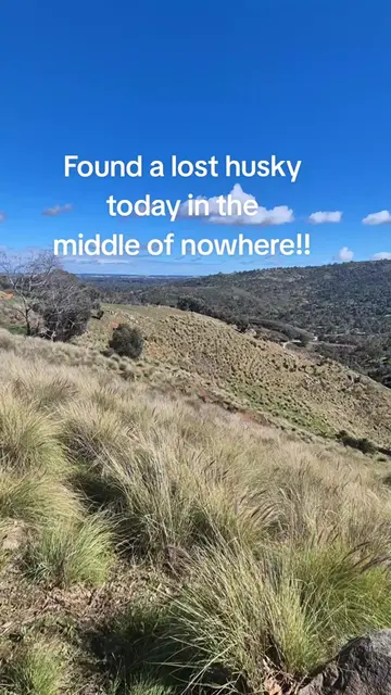 Turns out he got off his lead down at the bottom of this hillside and ended up l