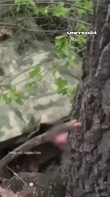 Ukrainian Special Forces captured enemy soldiers who were sleeping. #pow#capture
