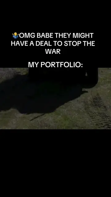 Hedging your stock portfolio during conflicts be like: #money #finance #war #sto