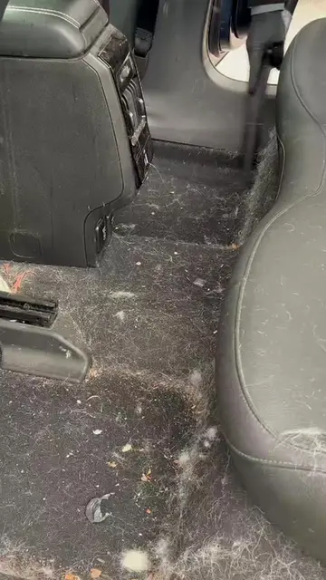 #creatorsearchinsights #viral #foryoupage #cardetailing 