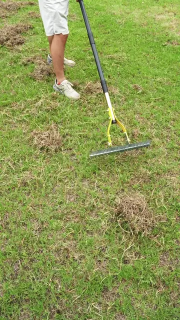 #yardwork #garden #gardentok #amazon #amazonfinds #fyppp #fotyou #yard #tools #f
