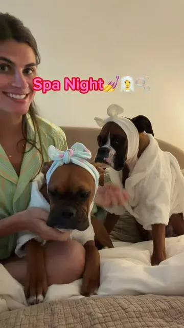I fear I’ve created two very high-maintenance dogs💅✨🫧👑💄🩷 Influenced by the 