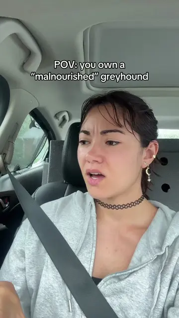 Leave the greyhounds alone! #greyhound #dogcommunity #dogbreed #dogeducation #do