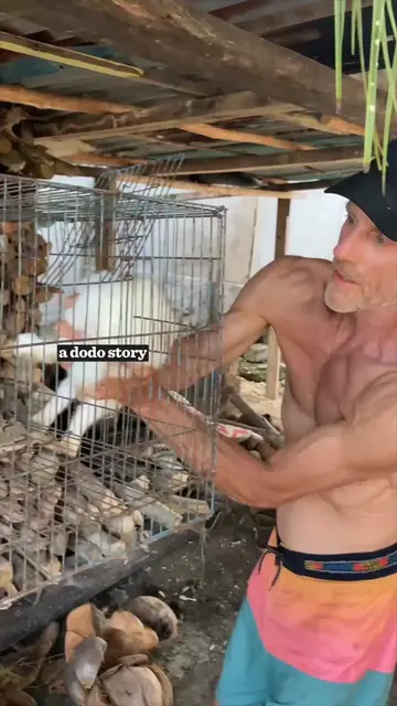 From a tiny cage to the happiest bunny 🐰💕 A surf trip to Indonesia turned into