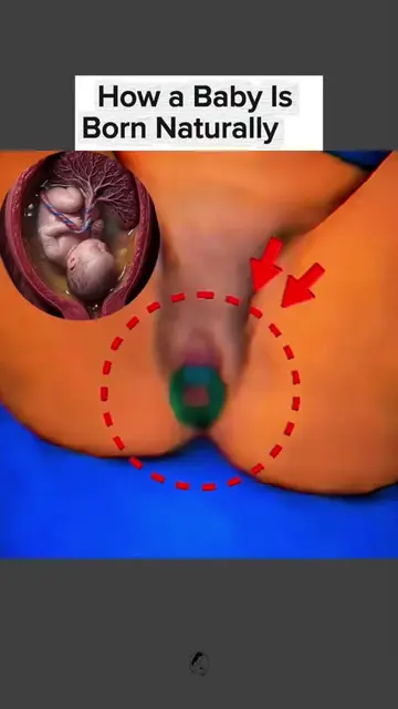 How a Baby Is Born Naturally 🤯.  #LearnOnTikTok #educationalpurposesonly 