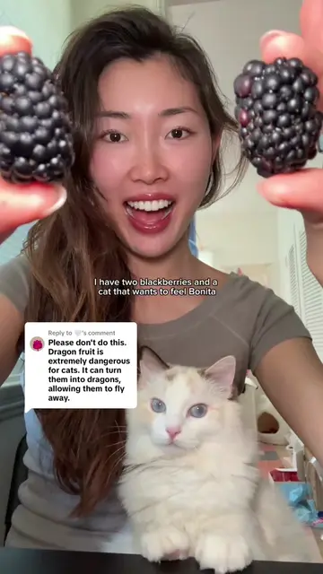 Replying to @🤍 pt 2 of turning my cat into a kawaii kitty 🐱💓🎀 what should we