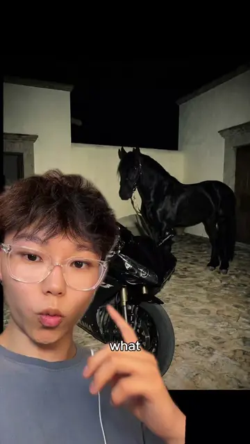 I messaged every motorcycle brand and asked them for a free motorcycle... commen