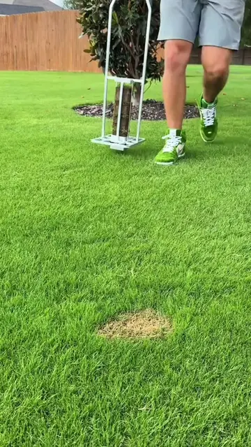 Must-Have Lawn Tools to Make Yard Work Super Easy✨#HomeGarden #LawnMaintenance#L