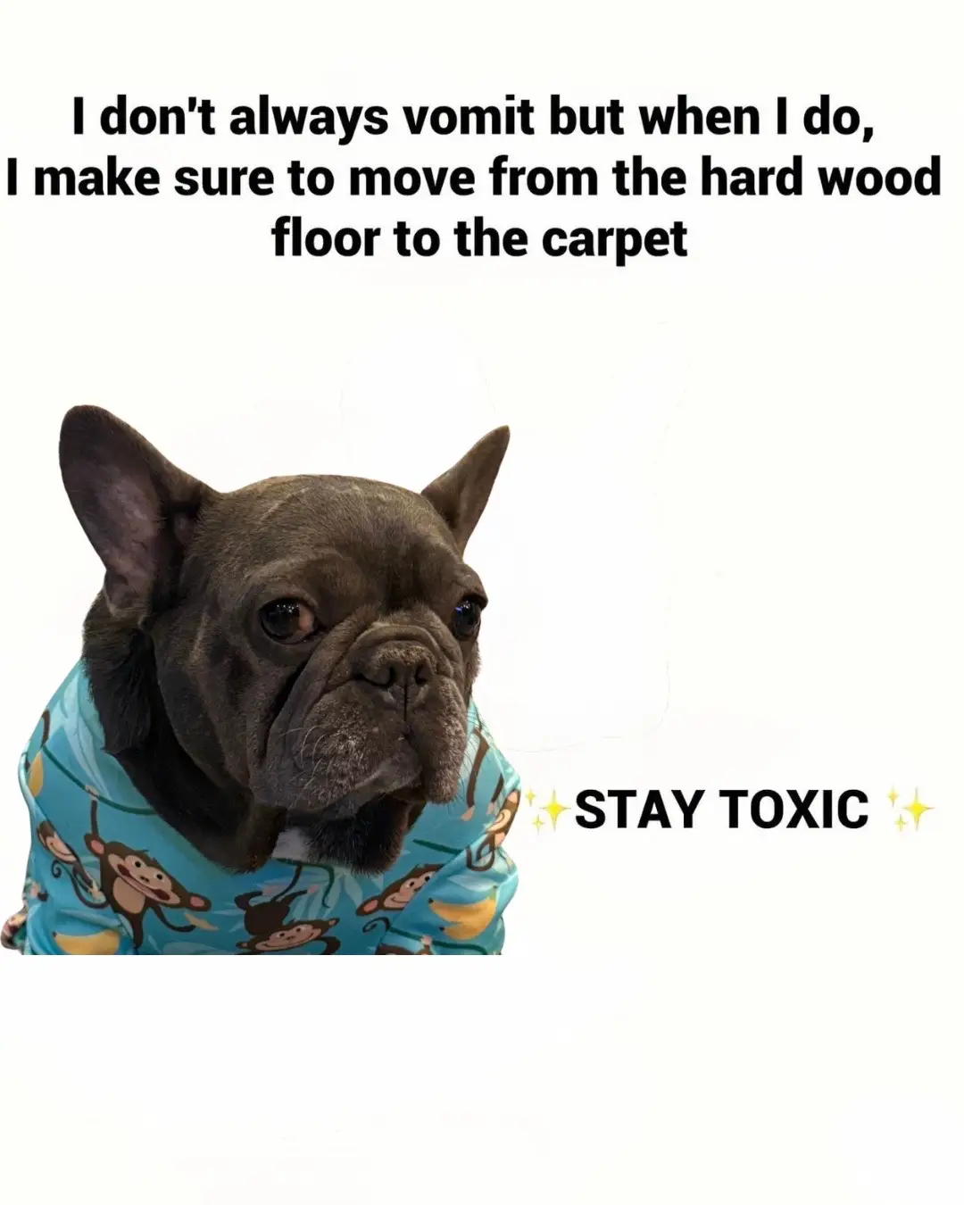 If you know… you KNOW. 😭 #dogmemes #relatablememes #dogsoftiktok #frenchiesofti