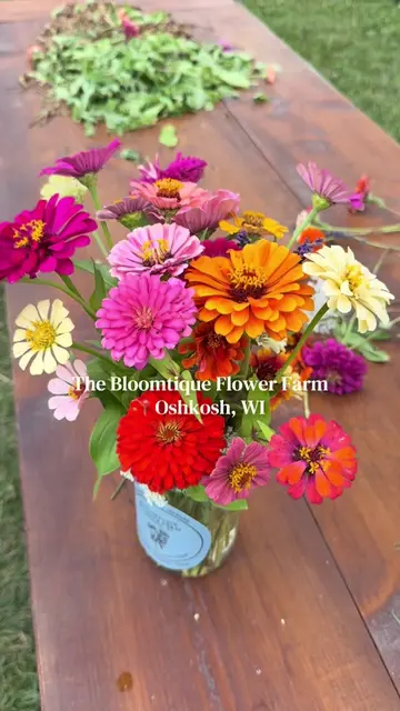 🌻 Trade the hustle for a jar of wildflowers ✨  Bloomtique’s U-Pick flower field