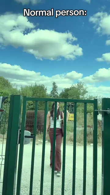 La version avec le portillon n’est pas mieux que celle du portail électrique… #t