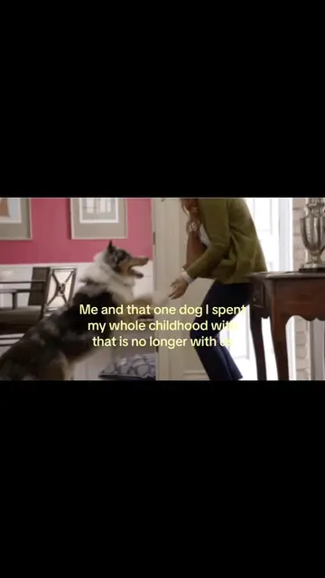 Gonna make me cry lol #marshmello #happier #childhooddog #trend #fyp 