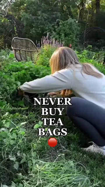 Go to my bio to start growing like me🌿 Herbal teas are one of my favorite thing