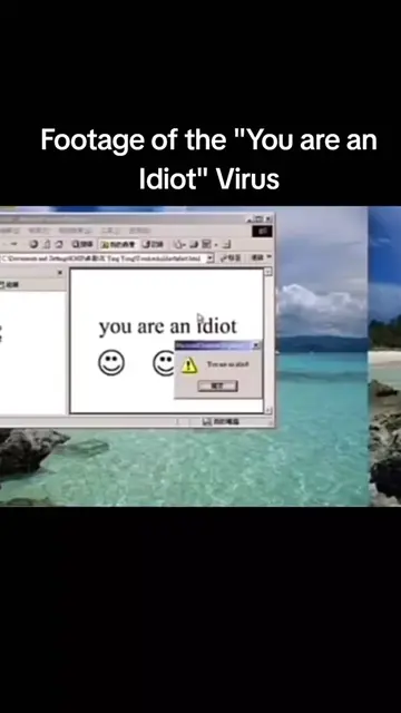 Footage of the "You are an Idiot" Virus | #virus #footage #computervirus #viral 