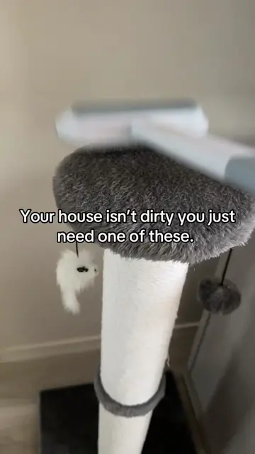 If you’re the kind of cat parent who sees one strand of fur and has to remove it