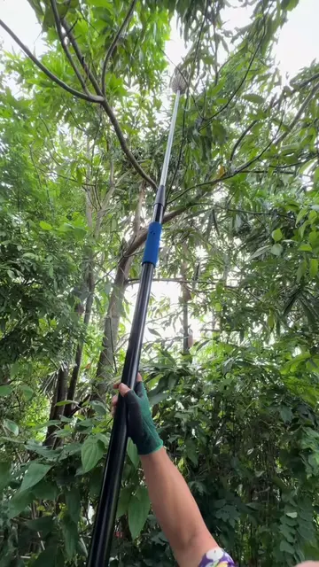Another Amazon find for mom's garden!  I picked up this fruit picker so Mom and 