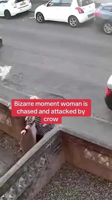 This is the bizarre moment a woman was chased down the street and repeatedly att