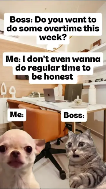 Sorry boss, I will not survive more of this 🫠🤣 #officememes #corporatehumor #c