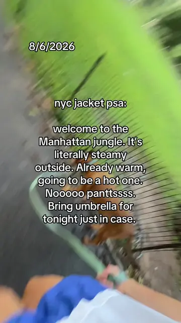 I wouldn’t do your hair 😂  #nycjacketpsa#nyc#weather#nycweatherupdate#newyorkci