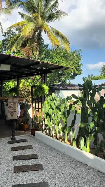 Tolong… saya rasa saya dah terkena saka bromeliad..berkotak3 sampai🤭.. Sifu2 br