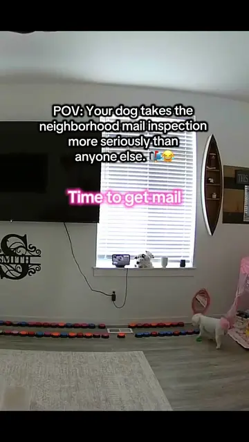 Aly hit her “It’s time to get mail!” button and made it very clear there was no 