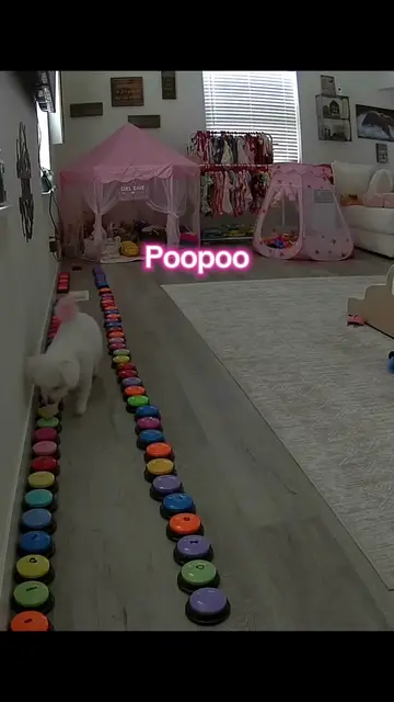 Aly hit her “poo poo” button, so I asked, “Do you need to go poo poo?” She confi