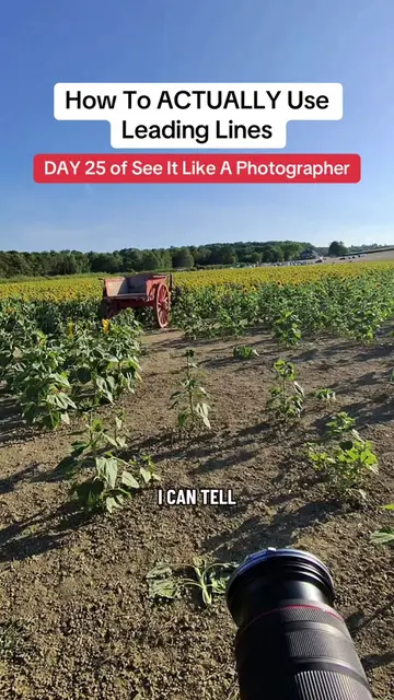 most beginner photographers have heard of leading lines, but use it completely w