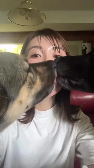Dog lover ❤️ #tiktokgrowthchallenge #doglover #cutemoments #fyp #dogandgirl 