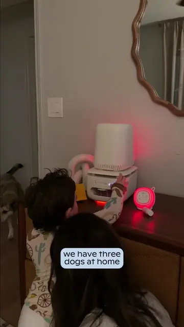 pet & toddler parents!!! have you tried an air purifier? #airpurifier #dogparent